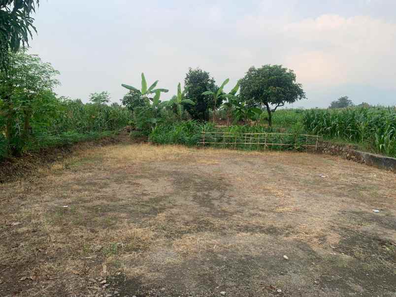 dijual tanah luas murah