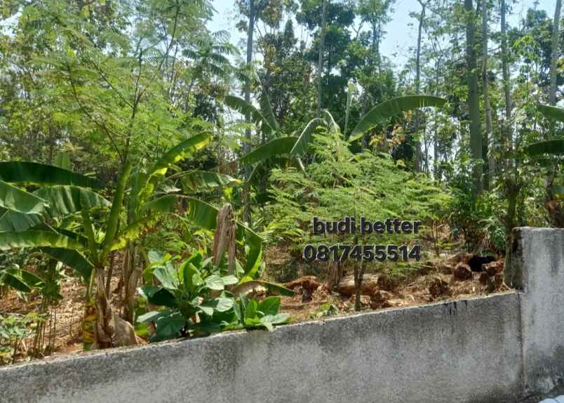 dijual tanah mulawarman tembalang semarang