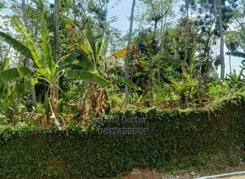 dijual tanah mulawarman tembalang semarang