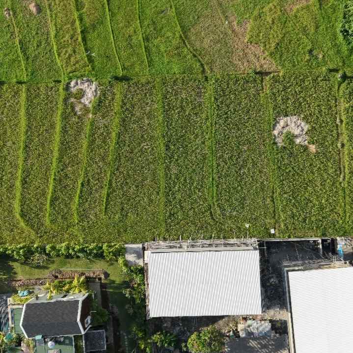 dijual tanah pantai nyanyi