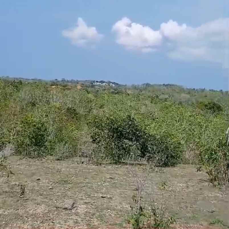 dijual tanah pecatu indah raya