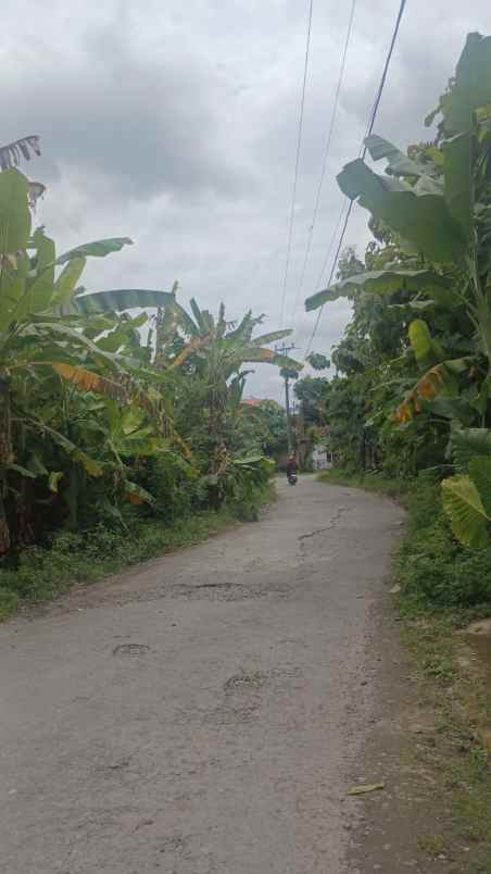 dijual tanah potorono