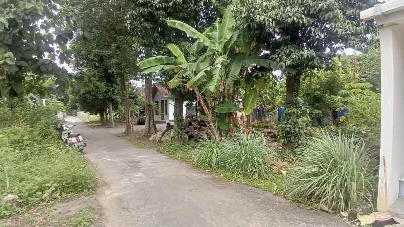 dijual tanah potorono