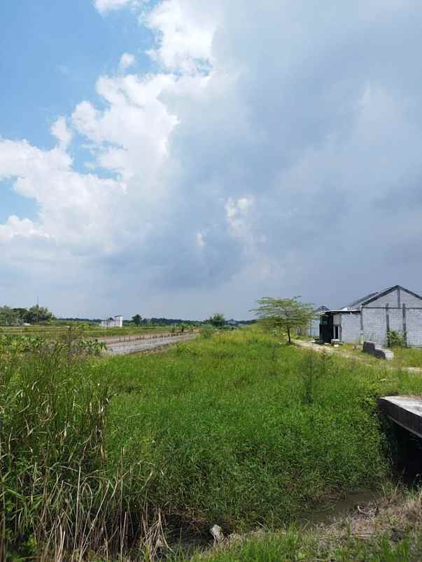 dijual tanah pranti kedamean gresik