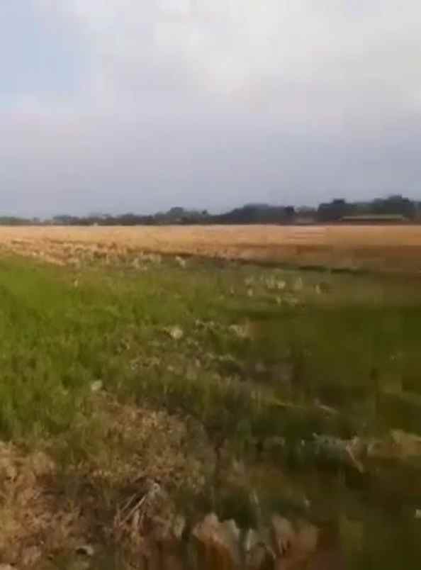 dijual tanah pulolawean