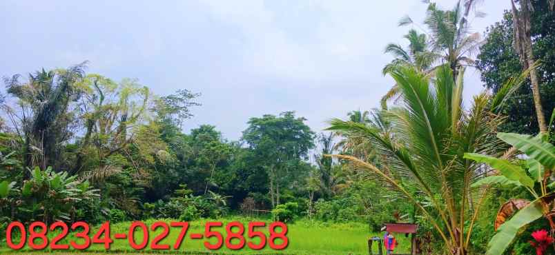 dijual tanah pupuan telallalang gianyar