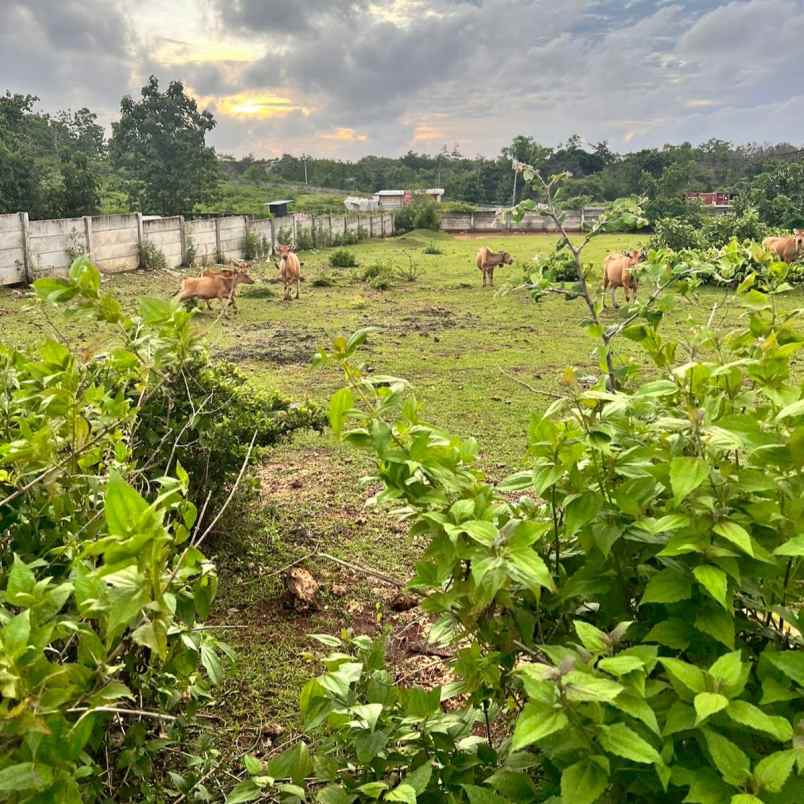 dijual tanah puri gading