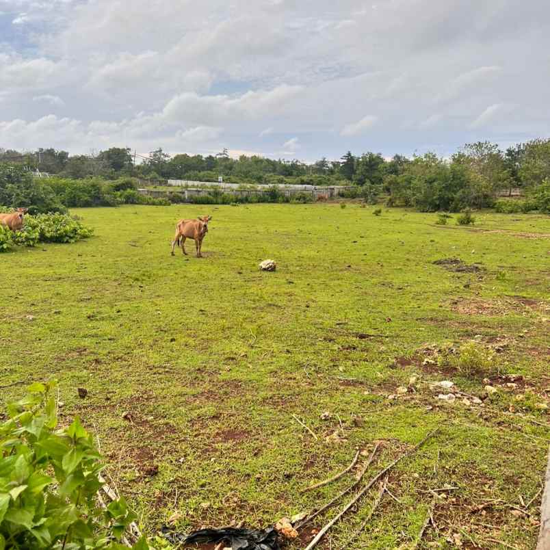 dijual tanah puri gading