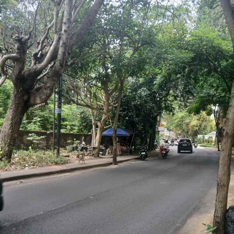 dijual tanah raya uluwatu