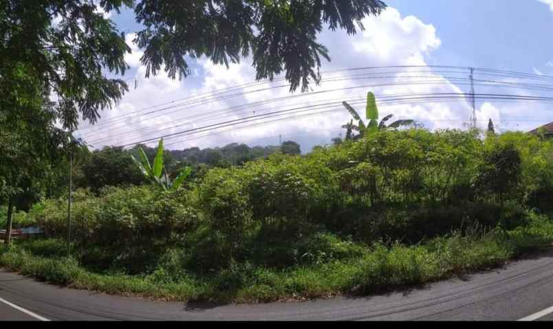 dijual tanah strategis pinggir jalan