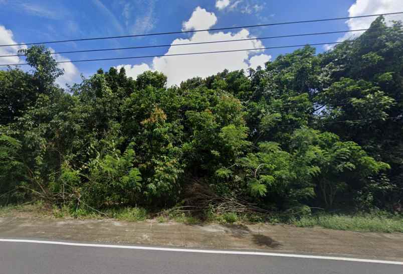 dijual tanah tanjung binga kec sijuk