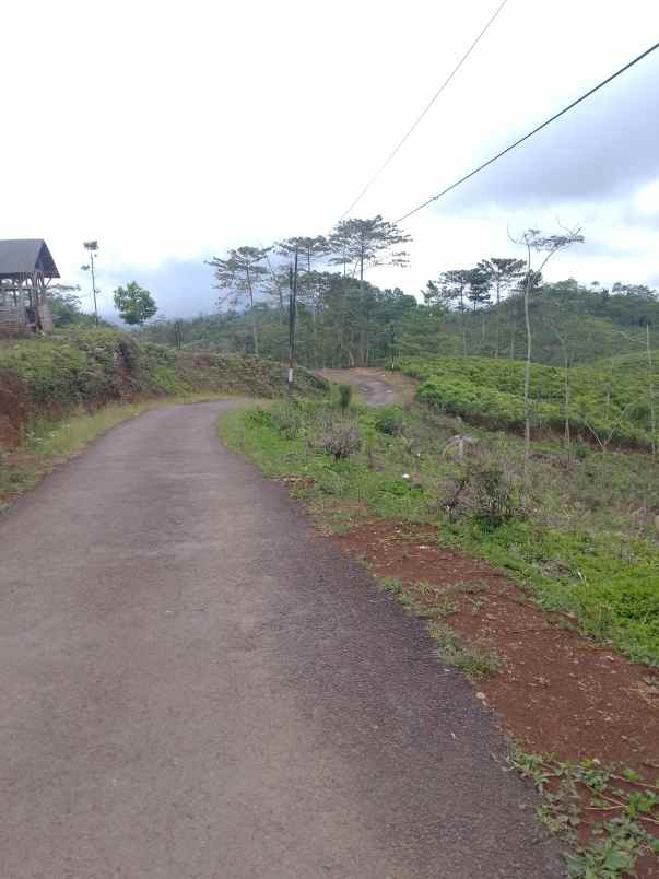 dijual tanah taraju kabupaten tasikmalaya