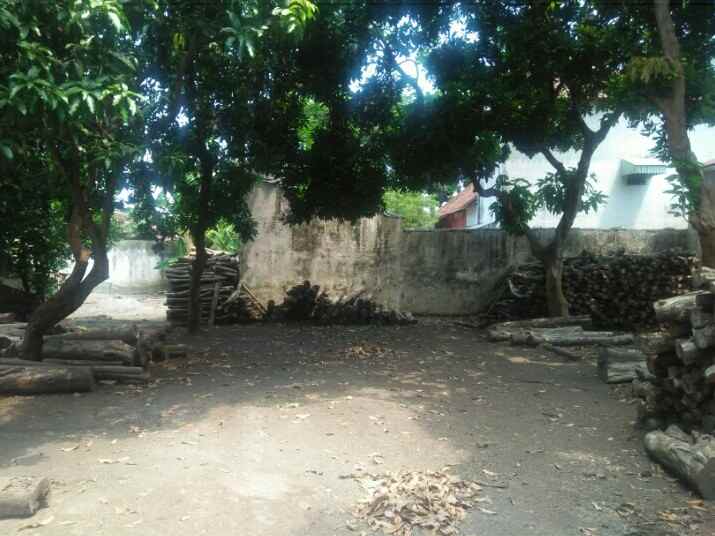 dijual tanah tepi jalan daerah panglima