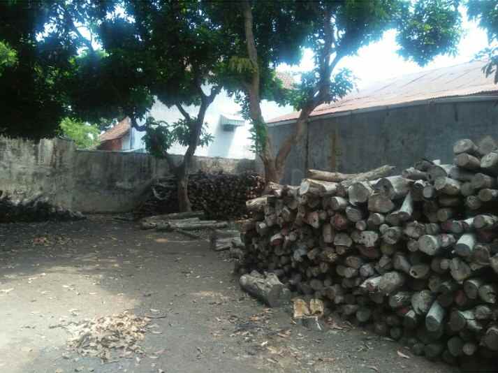 dijual tanah tepi jalan daerah panglima