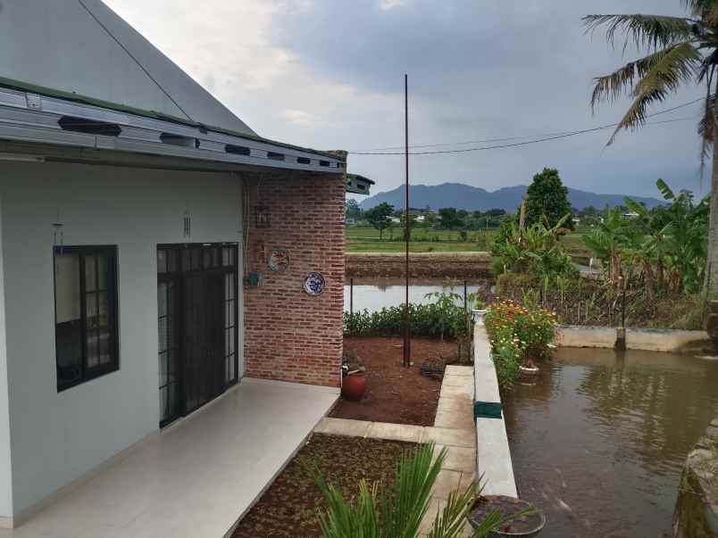 dijual villa subang
