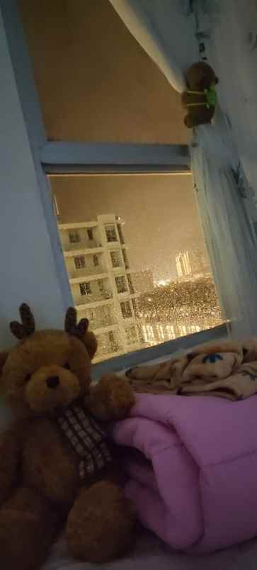 disewakan apartemen east coast amesty