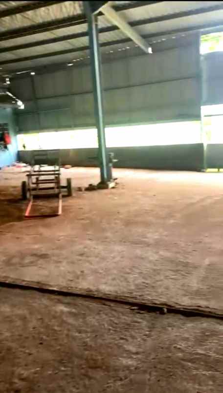 disewakan gudang 1440 m2 di jenu tuban jawa timur