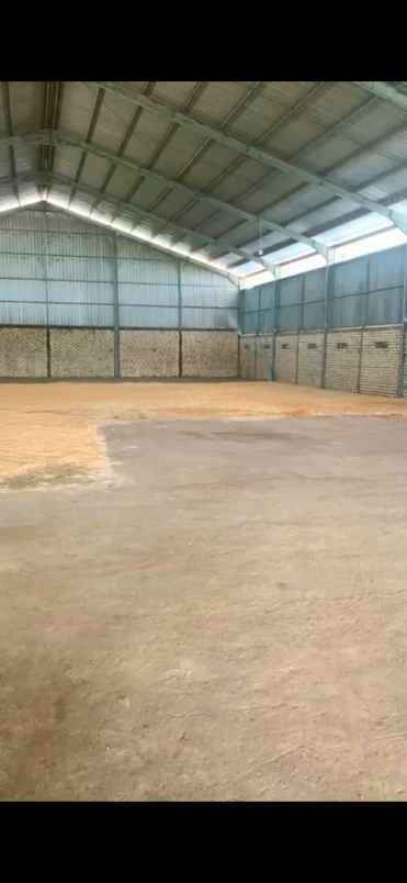 disewakan gudang 1440 m2 di jenu tuban jawa timur