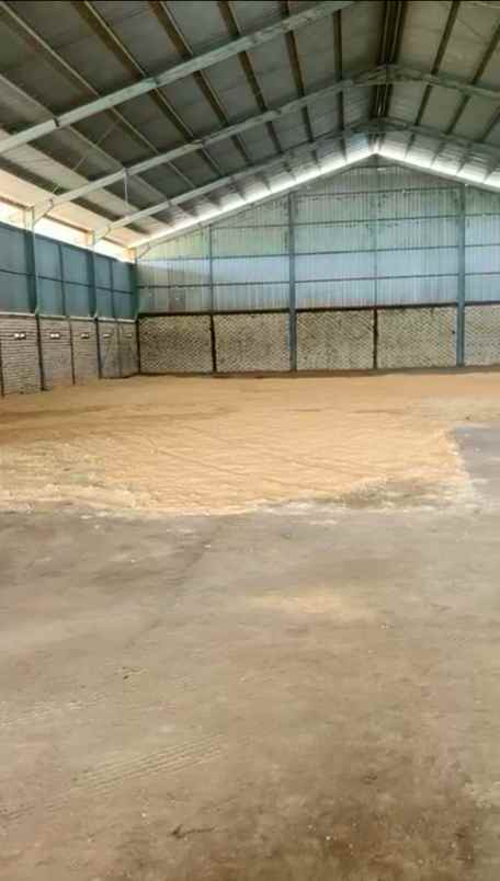 disewakan gudang 1440 m2 di jenu tuban jawa timur