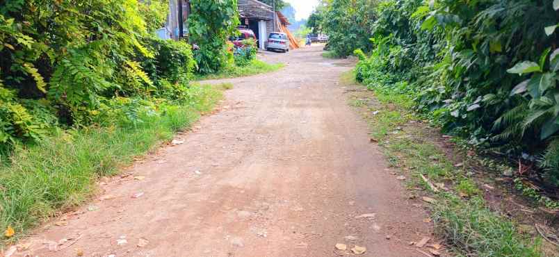 disewakan tanah jalan persada kerobokan