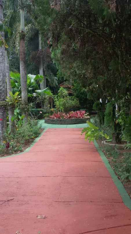 disewakan tanah jln inpres bojongkerta