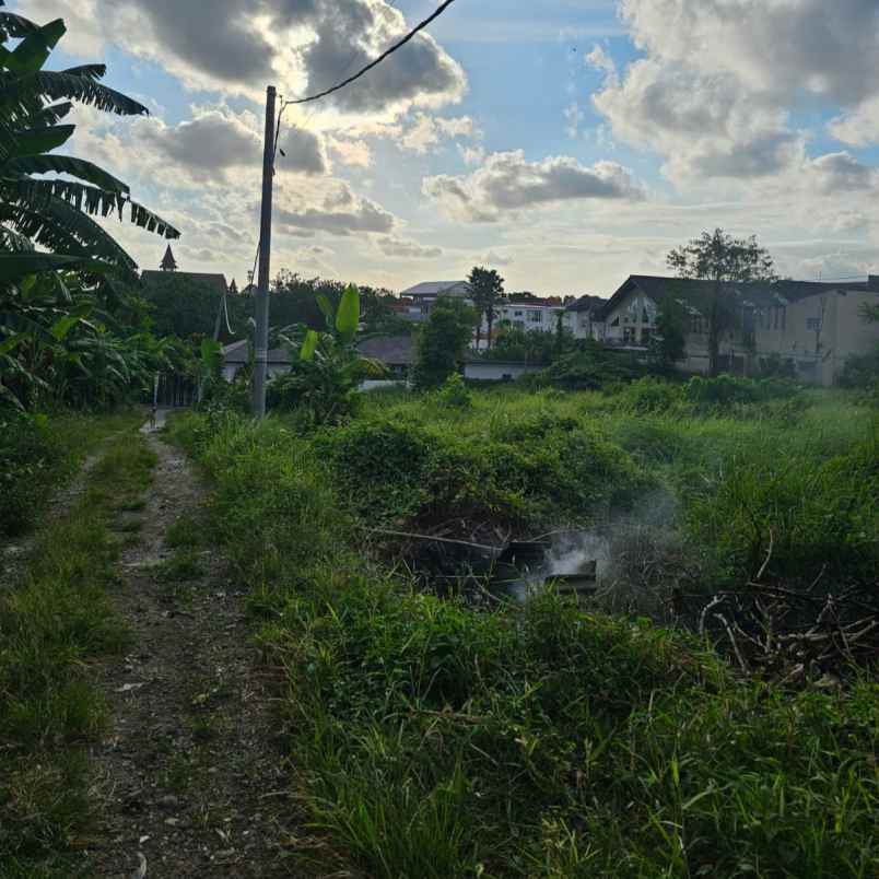 disewakan tanah padonan