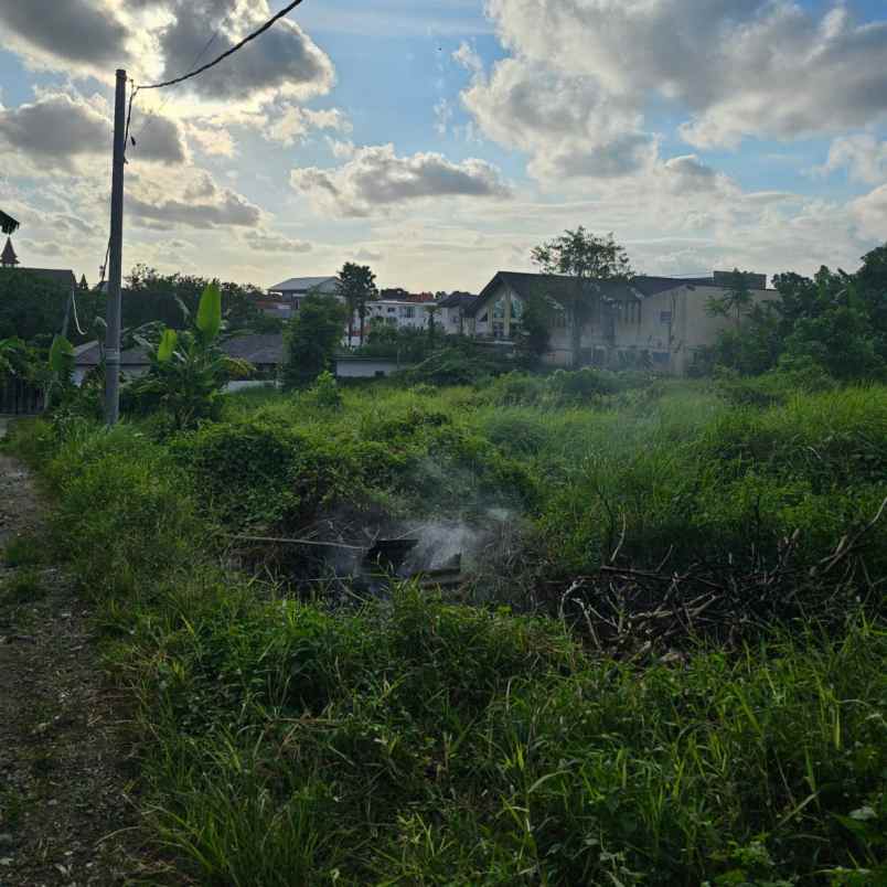 disewakan tanah padonan