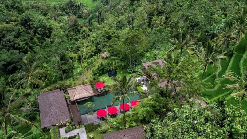 for sale frehold villa alama pedesaan utara ubud