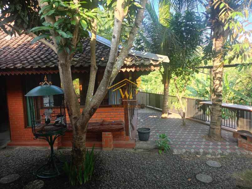 homestay murah view cantik di moyudan sleman nego