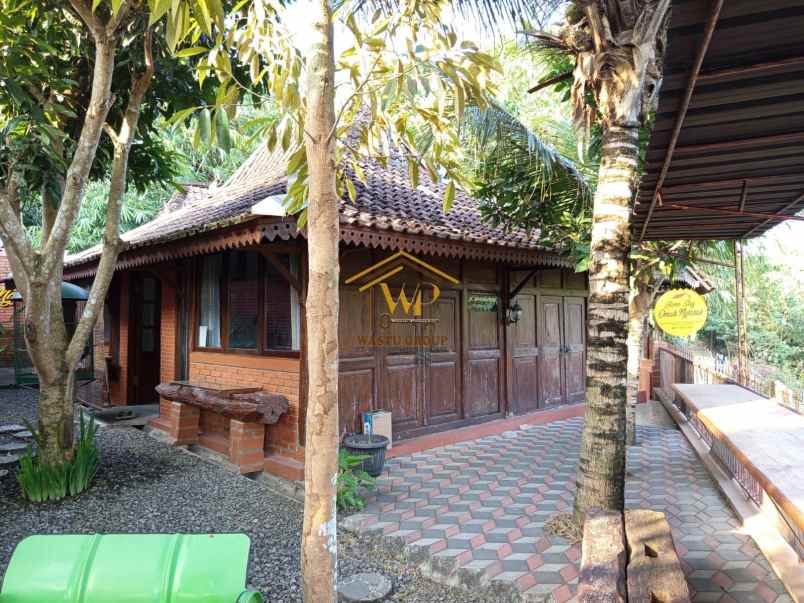 homestay murah view cantik di moyudan sleman nego