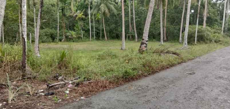 jual cepat tanah pinggir jalan