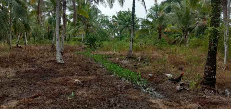 jual cepat tanah pinggir jalan