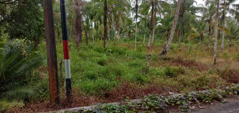 jual cepat tanah pinggir jalan