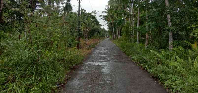 jual cepat tanah pinggir jalan