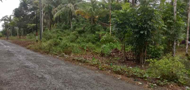 jual cepat tanah pinggir jalan