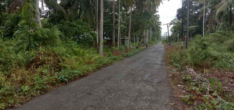 jual cepat tanah pinggir jalan