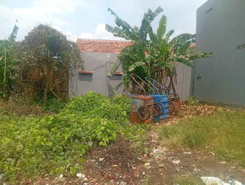 jual murah tanah 100 m2 dekat jl m nasir cilodong