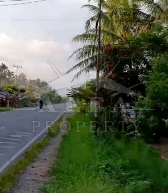jual murah tanah hamparan bonus kebun siap panen