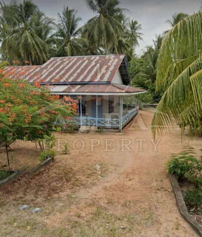 jual murah tanah hamparan bonus kebun siap panen