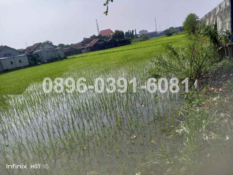 jual tanah lokasi pusat kota jepara