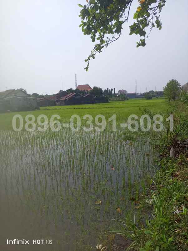 jual tanah lokasi pusat kota jepara