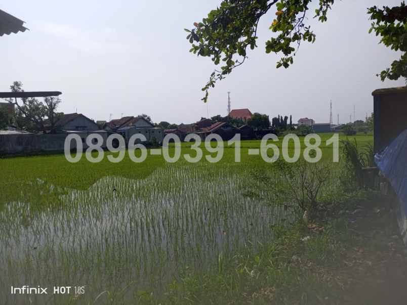 jual tanah lokasi pusat kota jepara