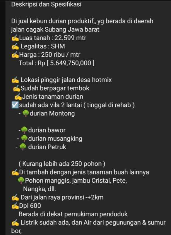 kebun durian daerah jalan cagak subang jawa barat