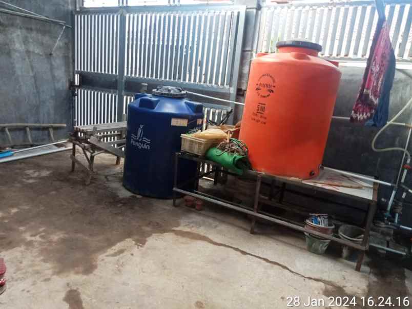 kontrakan ibu nengsih ciwaringin cirebon