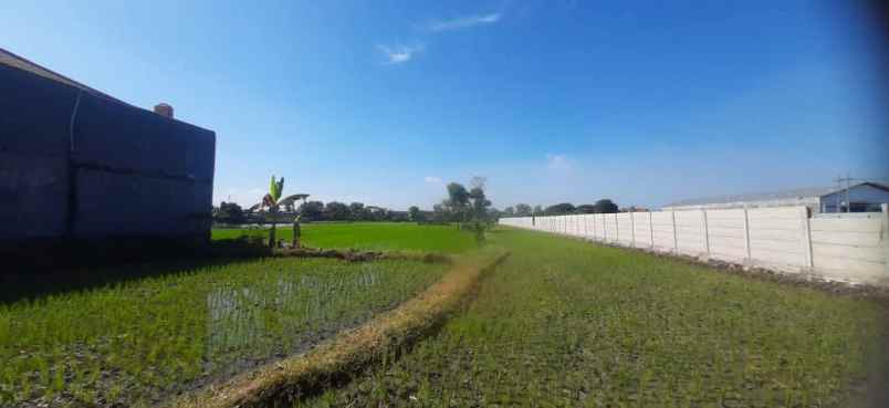 lahan industri sidoarjo buduran