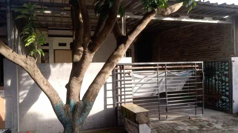 perumahan taman banten lestari blok g1c