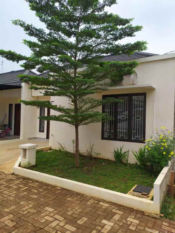 rumah jl mandor basar