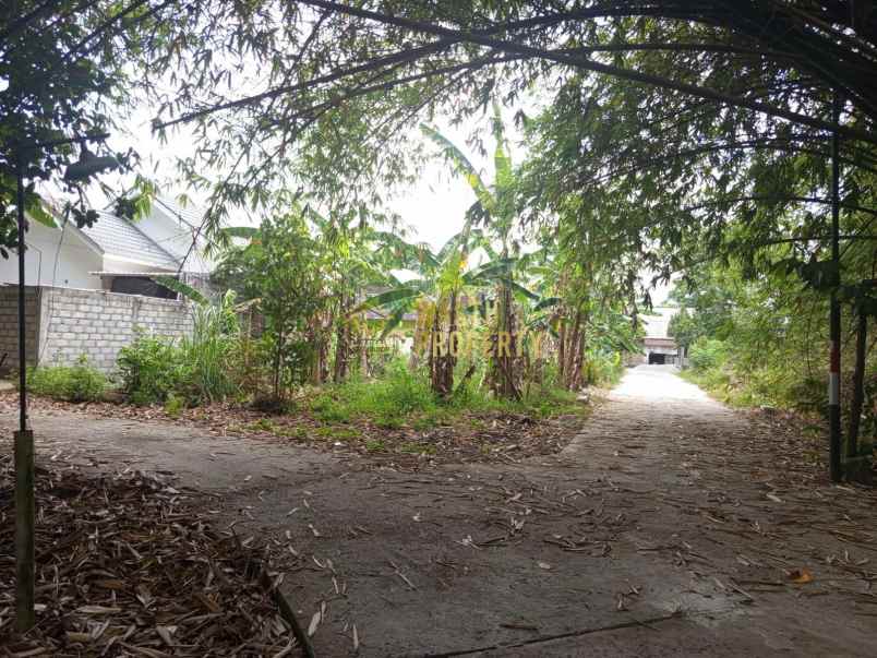 rumah paling murah 200 jutaan dekat rsud prambanan