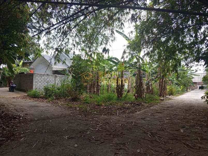 rumah paling murah 200 jutaan dekat rsud prambanan