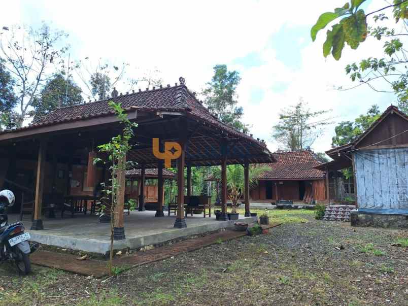 rumah semi villa joglo dengan kolam renang